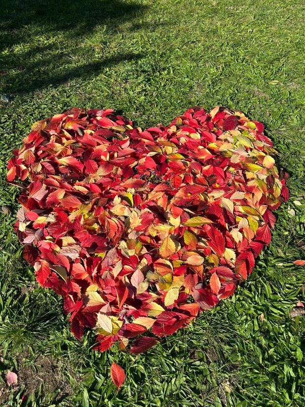 ecole-de-la-presentation