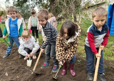 plantation-de-fraisiers