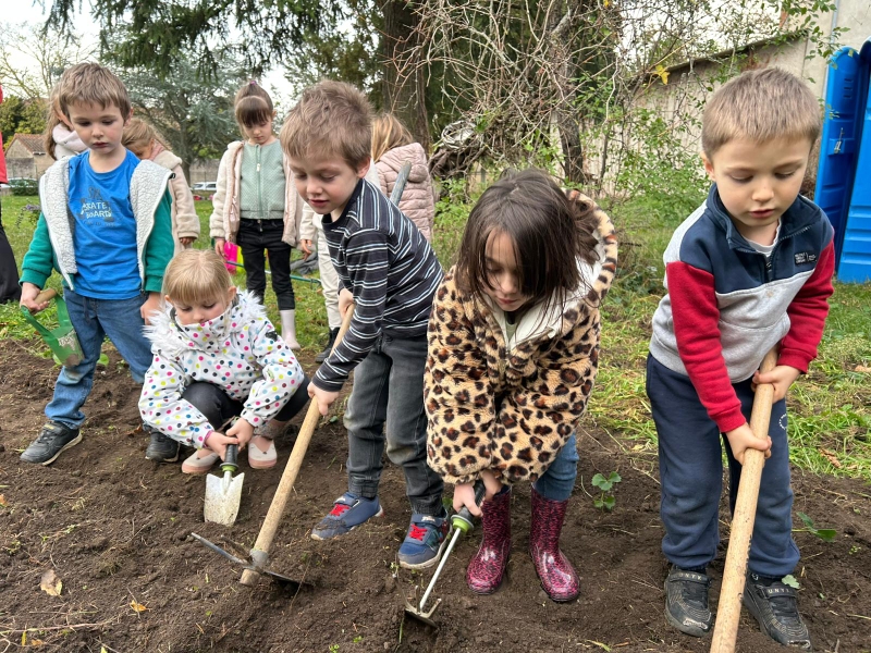 plantation-de-fraisiers
